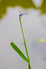 CRW_3310 拷贝