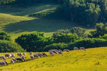 IMG_2905_1
