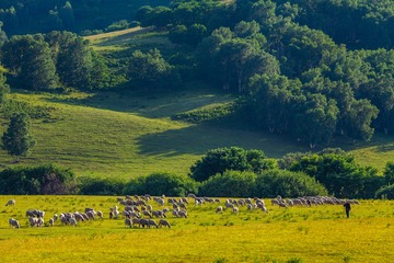 IMG_2896_2