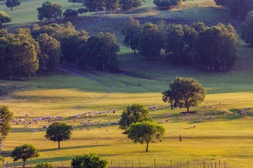 IMG_3509_2