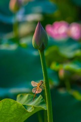 CRW_3244