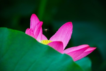 IMG_2455 拷贝