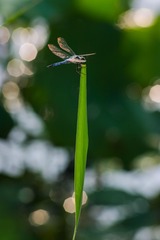 IMG_3304 拷贝