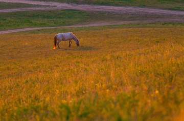 IMG_2078_2