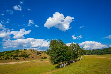 IMG_2893_2