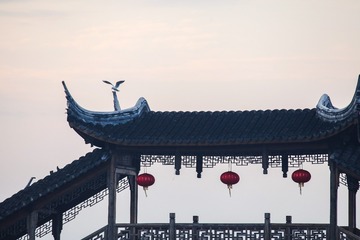 IMG_8478 拷贝