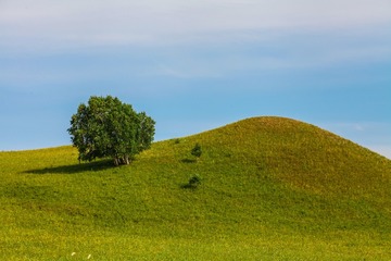IMG_2374 拷贝