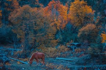 IMG_4631_1