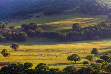 IMG_3500_1
