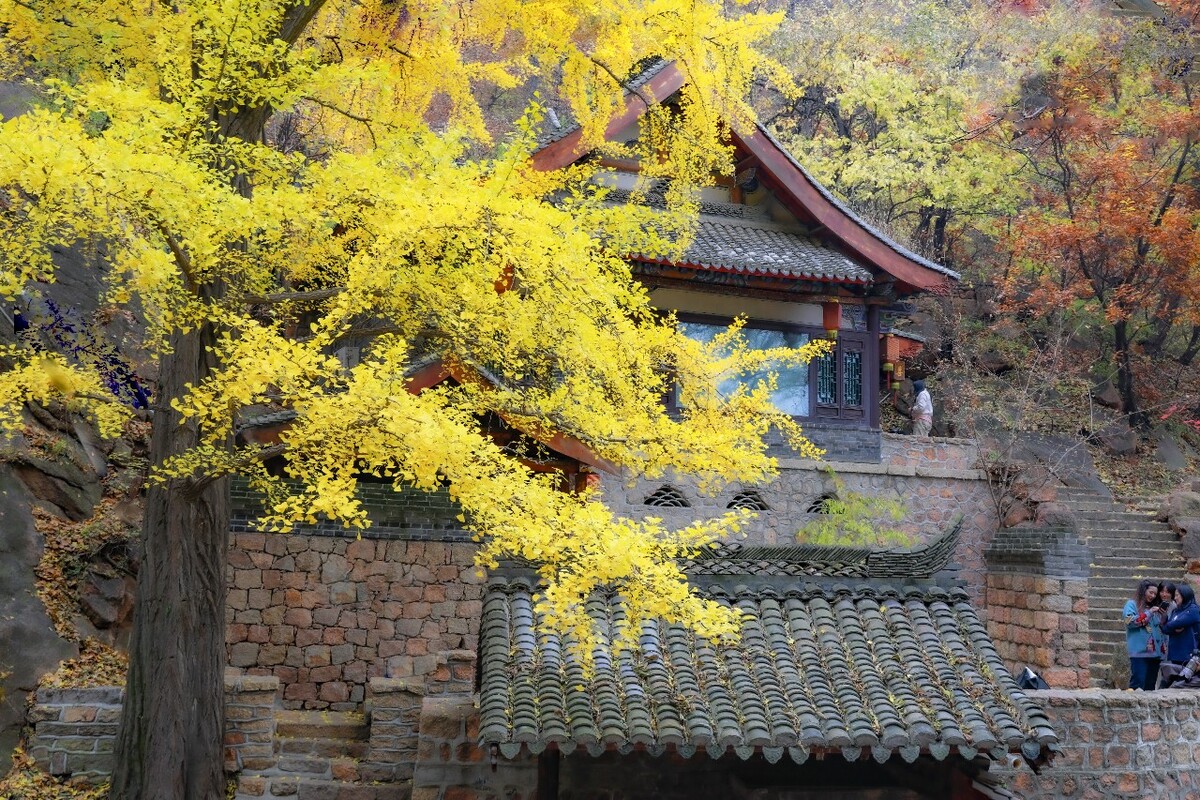 ǧɽȪ - 羰gg - ͼ