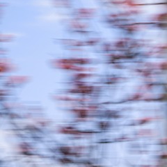 19F33021-6CA0-4F96-A800-1643EEF54044/L0/001