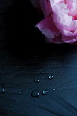 7A641929-D6D9-4CFC-BB68-2A1D2E051223/L0/001