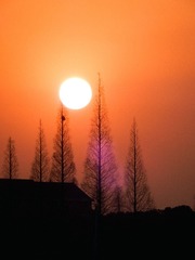 7113CB9A-5500-4BF3-9AE6-E94691BF67E4/L0/001