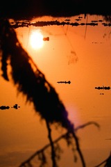CC23CB93-96E8-4B7C-A7FA-33E45695FCF2/L0/001