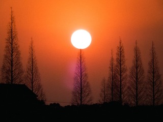2AFDE744-0D1C-41E7-9259-AFFEE0083466/L0/001