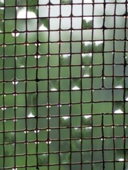 IMG_20160712_160841