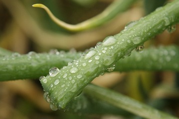 _DSC1782