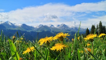 IMG_1803-01