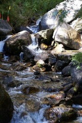 DSC00465.JPG