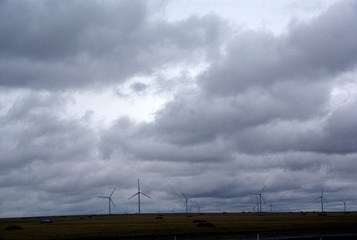 DSC02975.jpg