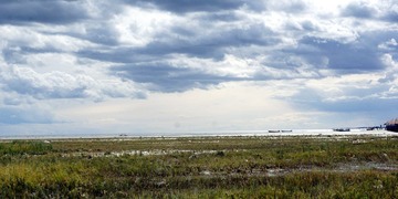 DSC03028.JPG