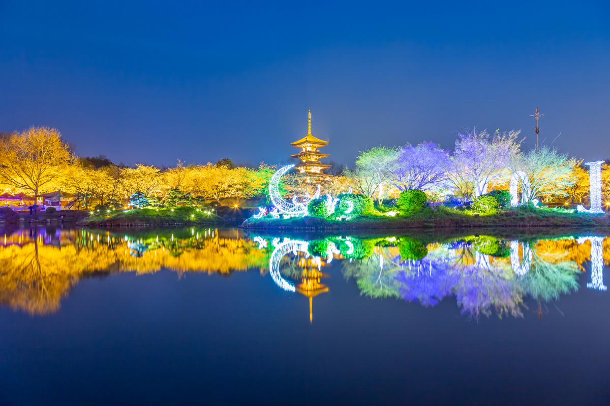 武汉东湖樱花园夜景