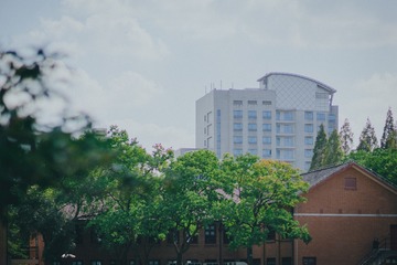 D90ACDB0-71C0-47F7-8FE2-AE8182F982C6/L0/001