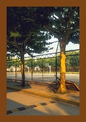 8656DE7A-0621-4FBD-AF73-C41456262B90/L0/001