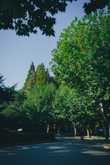 409D671D-F565-44BA-A0D3-5A3E0D0A39B9/L0/001