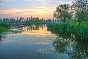 DSC02035-1