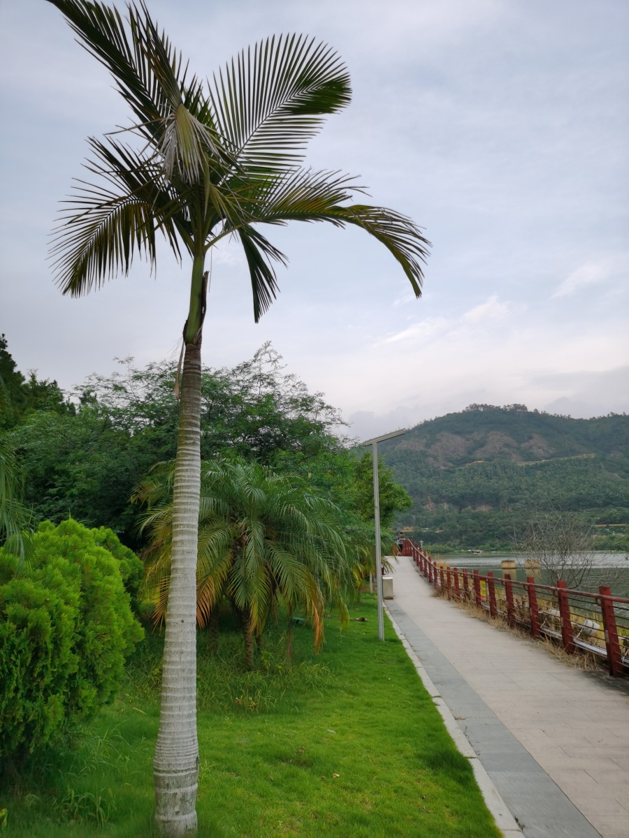 福清龙江公园1