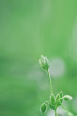 7D10794A-3DA3-4B04-B45B-4DB3034F89D6/L0/001