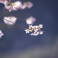 27F655DA-CBDC-4913-B651-AE47655729ED/L0/001