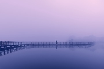 7041