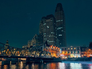 1000639231
