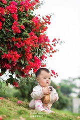 小春天。18