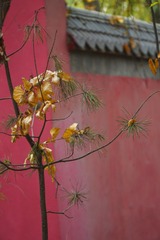 IMG_20161120_171511