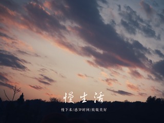 1631629