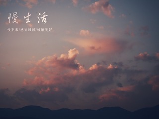 1631628