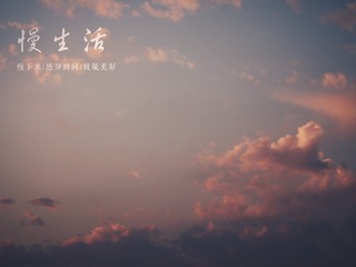 1631622
