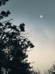 1000058853