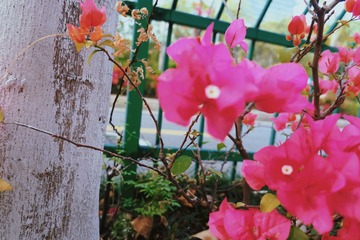 EEA1F457-9333-43DB-9496-9EF3B9E25B12/L0/001