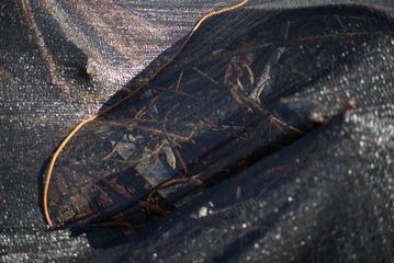 L1008696-1