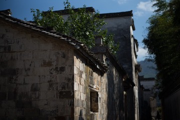 L1008763-1