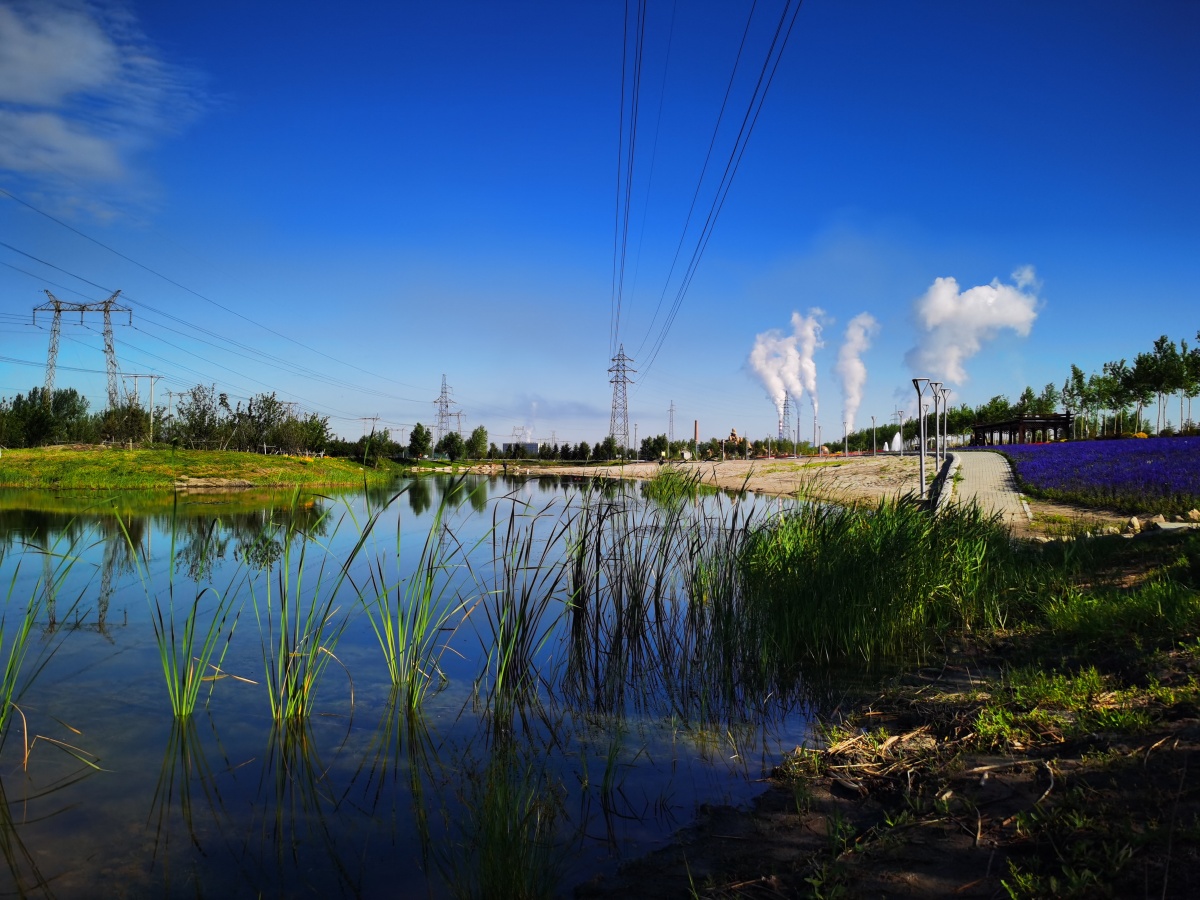 早上7点的东北双辽