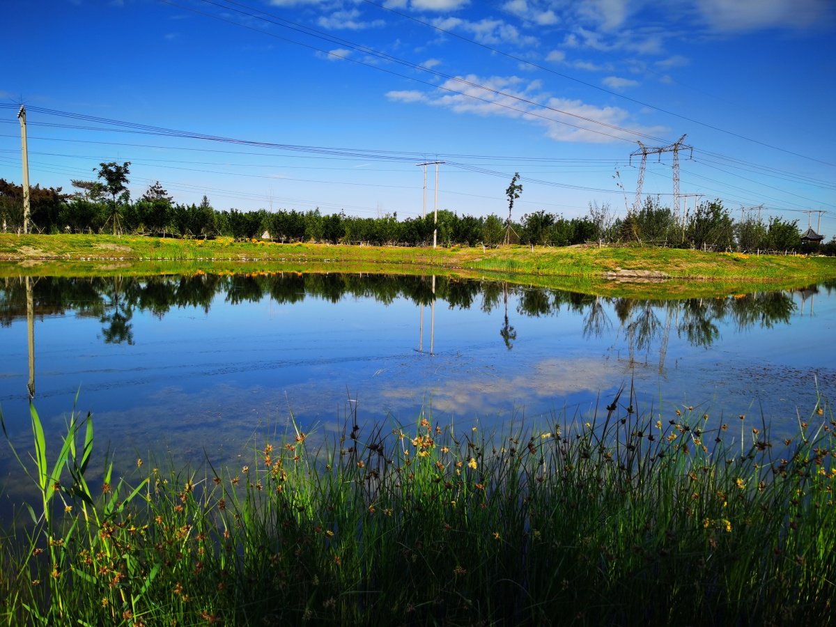 早上7点的东北双辽