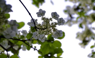 57591EE6-2440-4413-A90F-1E0A170D43F9/L0/001
