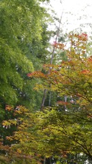75C76E94-D765-49D3-951D-5487A4DBA438/L0/001