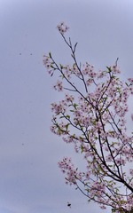 44449573-7F3C-478F-8B24-248FFB4380AB/L0/001