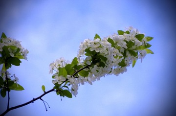 840AAD82-DF6A-4F02-8D07-7CE29C08728A/L0/001